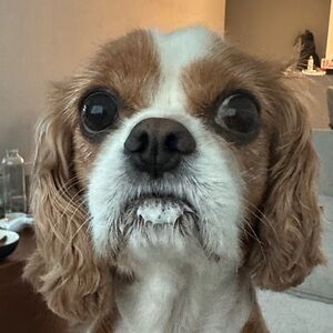 Meet your Posher, Mark